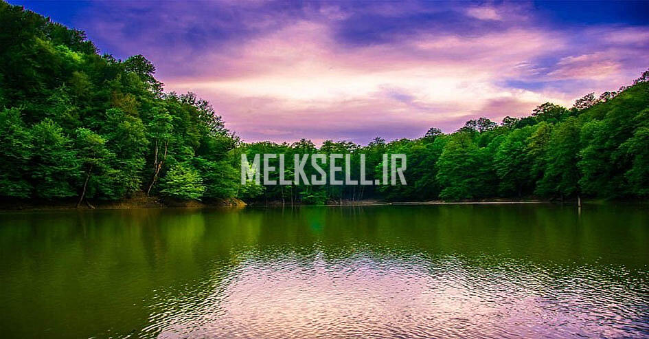 مزایای خرید ویلا باغ در نور