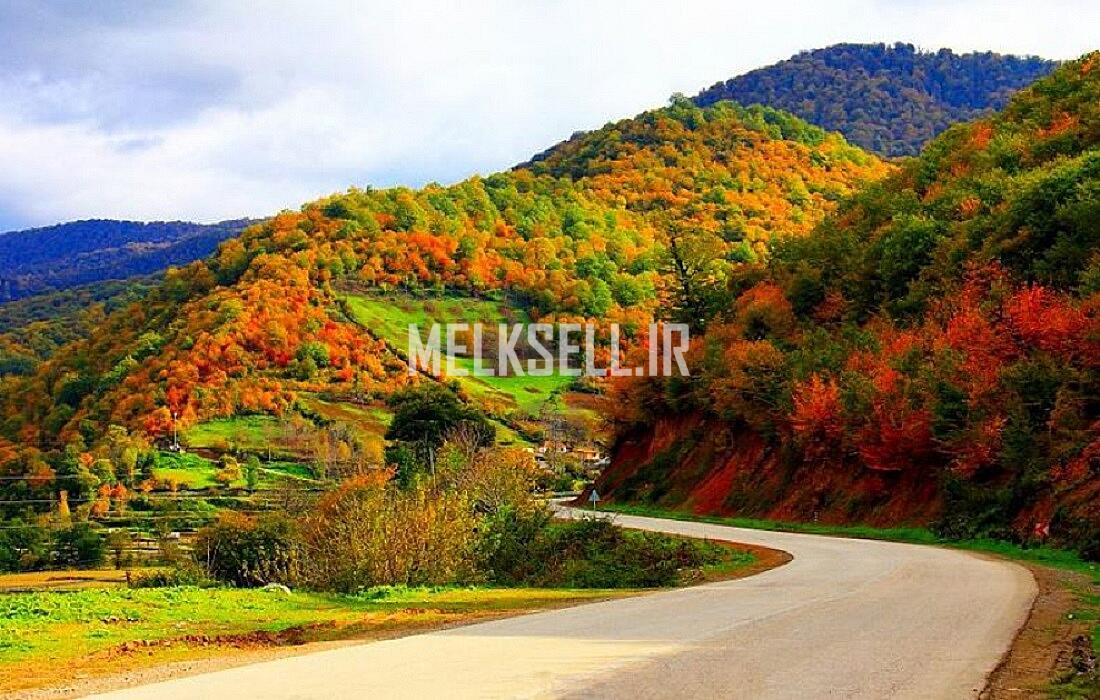 جاده کیاسر از جاهای دیدنی برای مسافران ساری