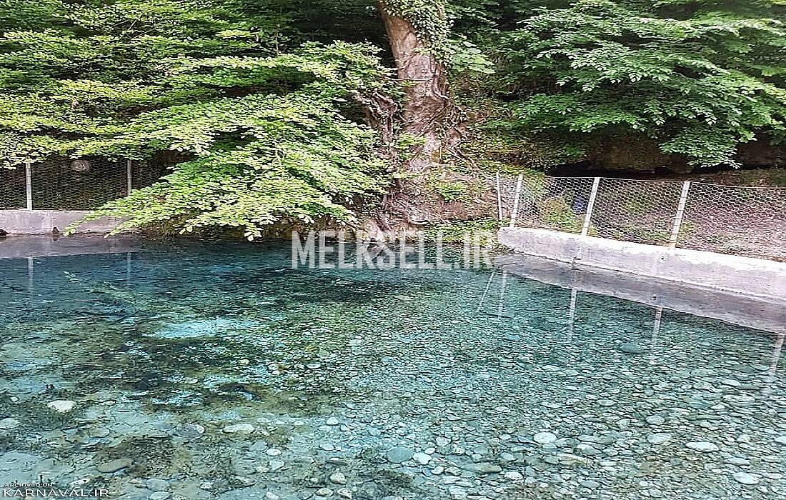 چشمه ورگینه وا از جاهای دیدنی اطراف ساری