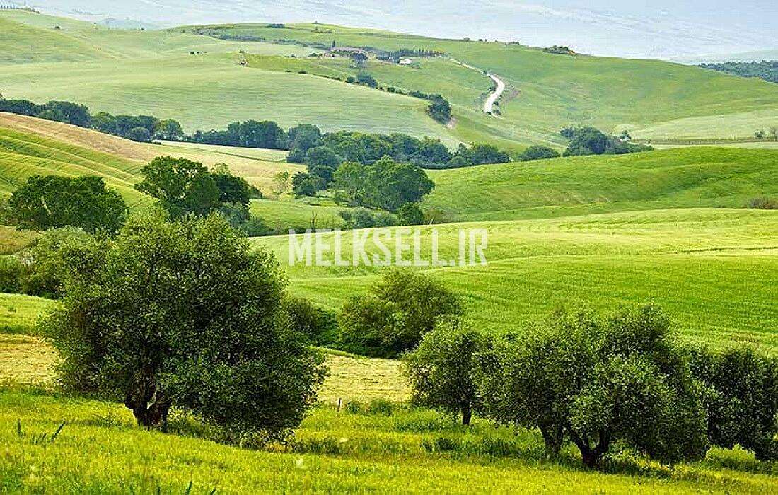 نحوه شناسایی متولی برای استعلام زمین