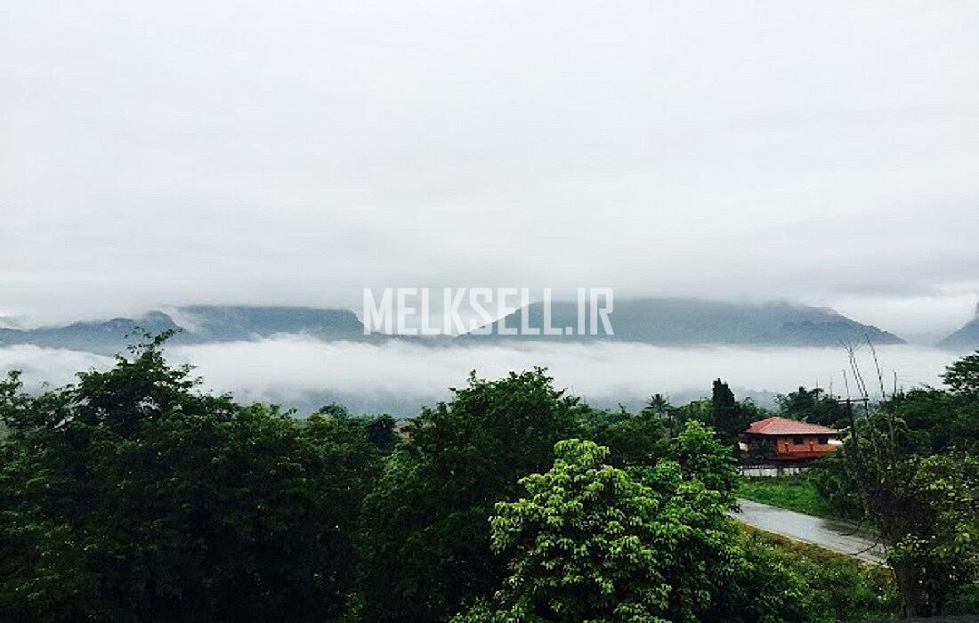 بررسی دلایل زندگی در چمستان