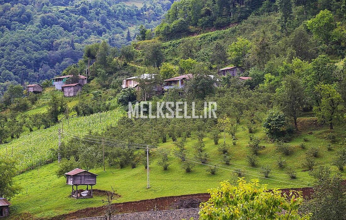 آداب و رسوم سنتی؛ بازتابی از فرهنگ مردم چمستان