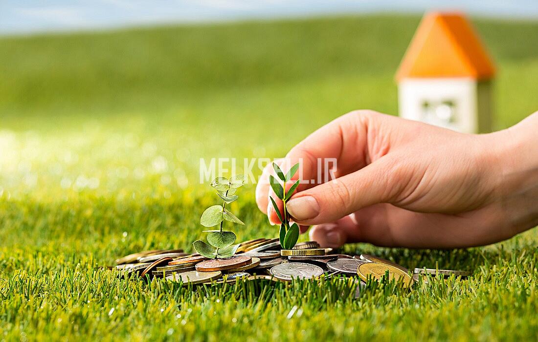 سرمایه‌ گذاری در زمین‌ های چمستان