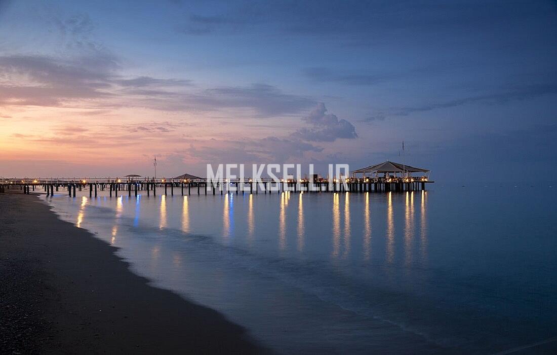 زندگی در نور