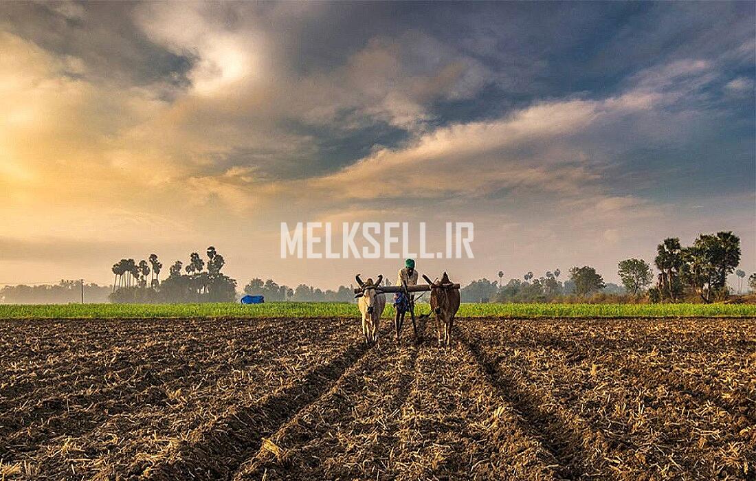 امکان احداث باغ و تولید محصولات در نور