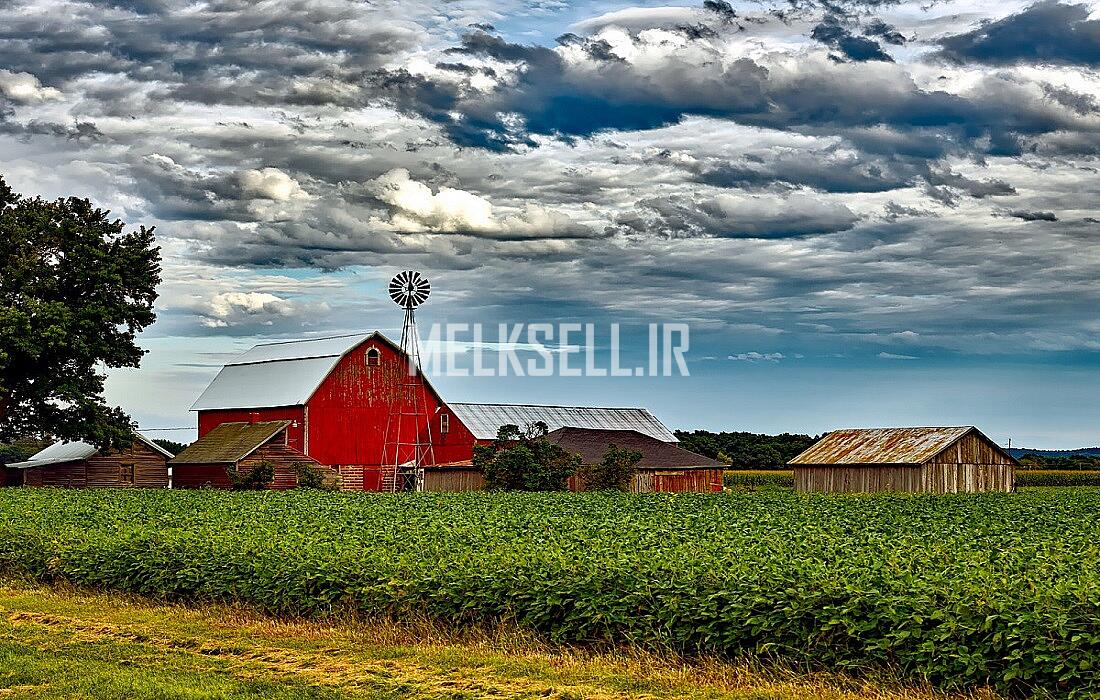 چرا سرمایه‌گذاری در زمین کشاورزی در نور سودمند است